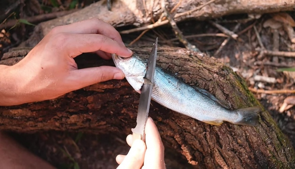 Как приготовить рыбу на природе на костре