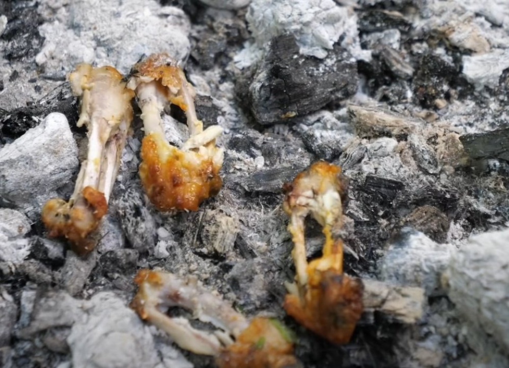 Куриные крылышки на костре: как вкусно приготовить