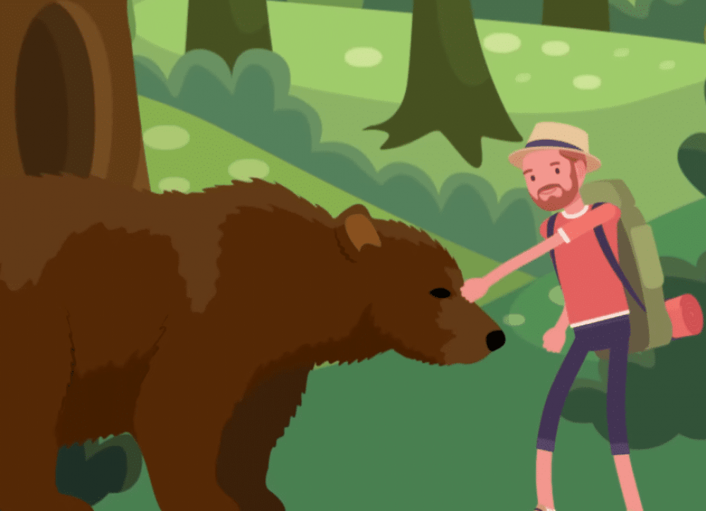 Что делать при встрече с медведем