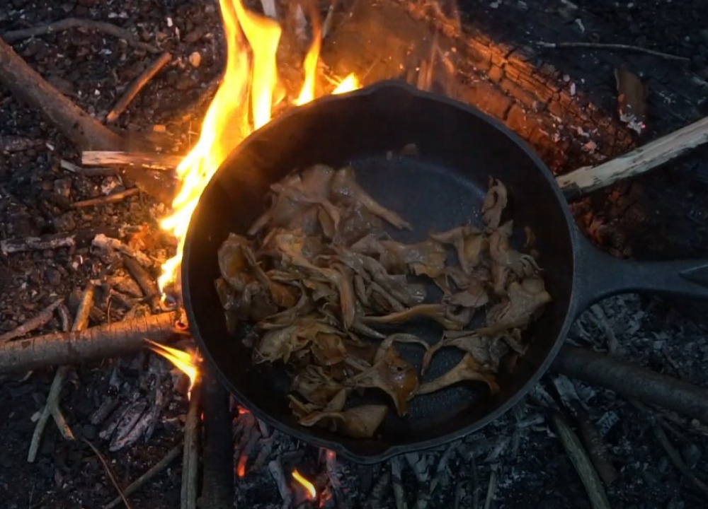 Грибы на костре: как вкусно приготовить