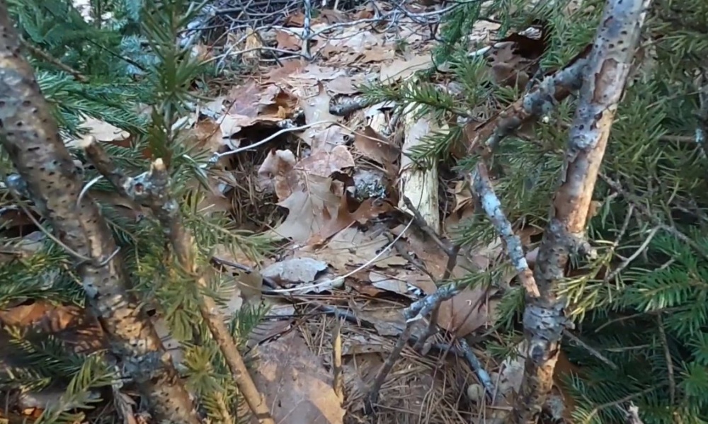 Кролик на костре: как приготовить в казане