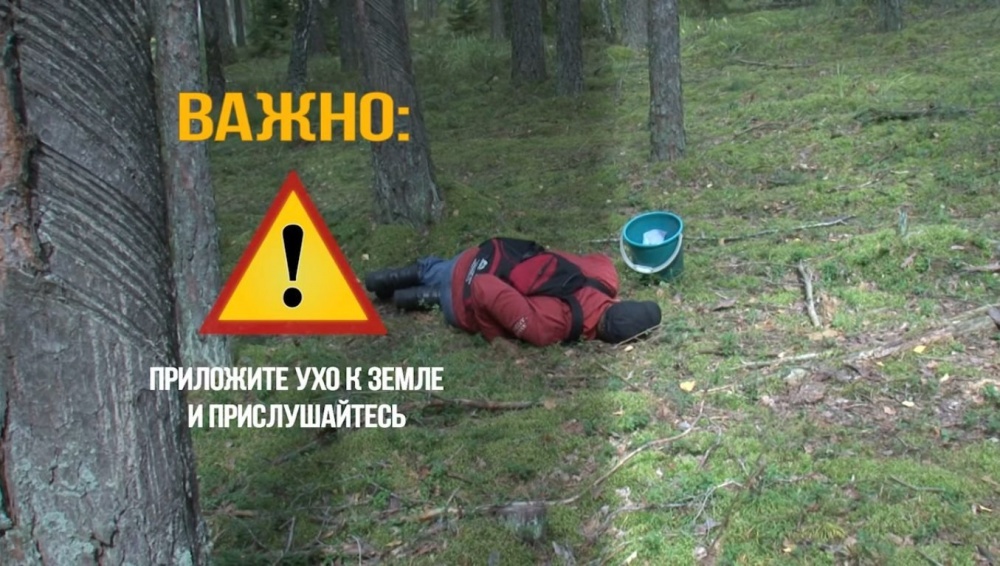 Если потерялся в лесу: что делать