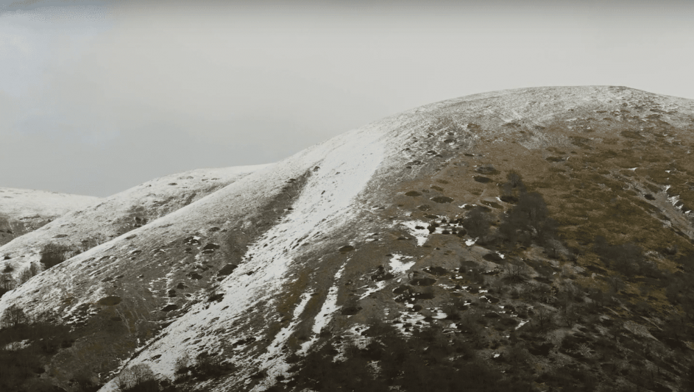 Как выглядит след волка