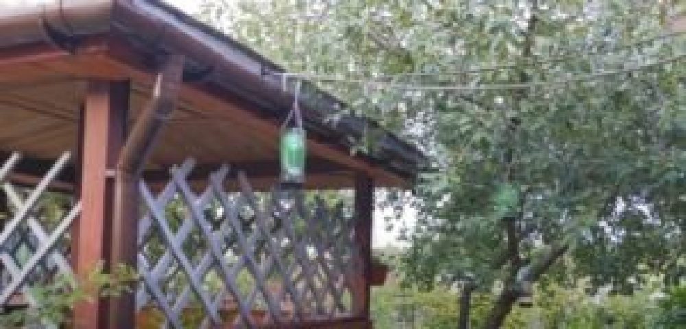 Ловушка для ос