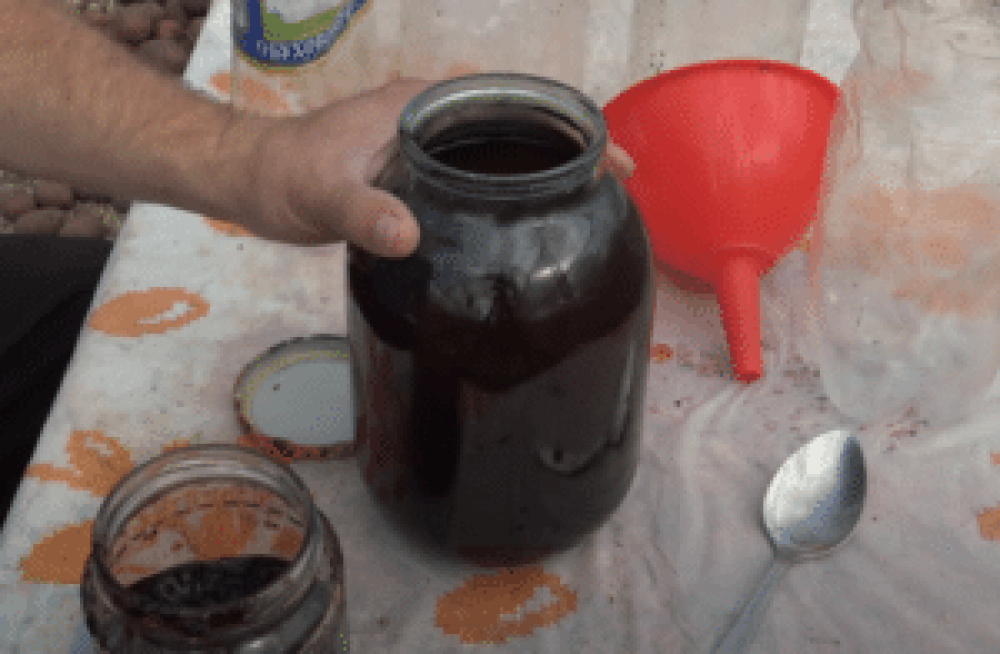 Ловушка для ос
