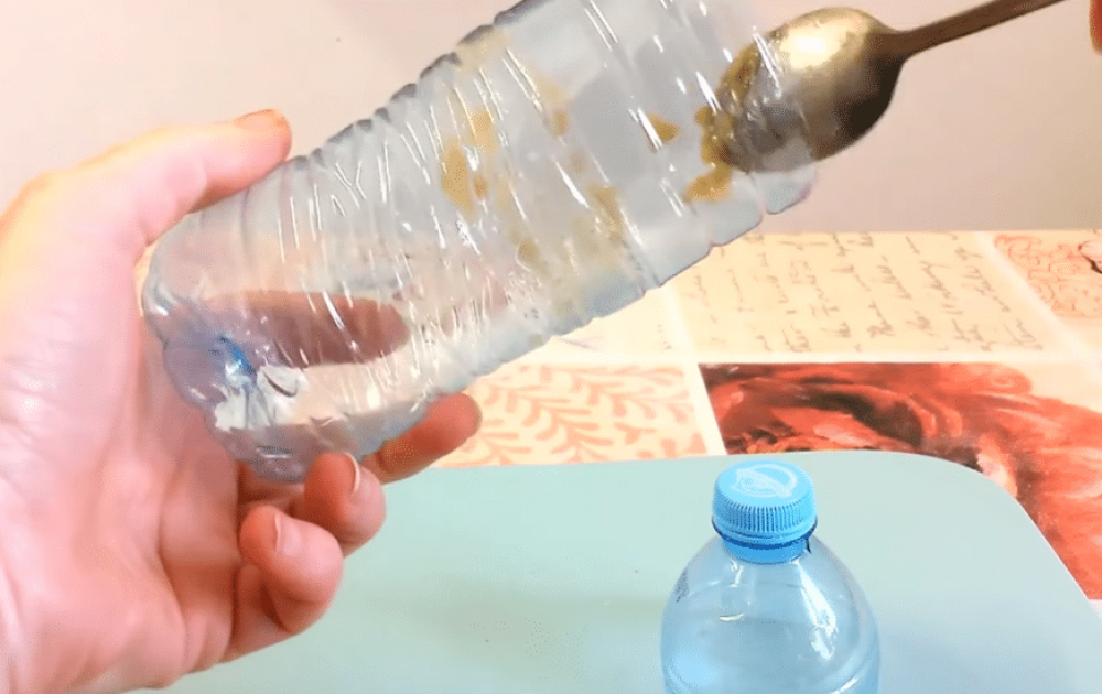 Ловушка для мух