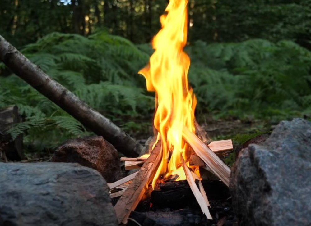 Куриные крылышки на костре: как вкусно приготовить