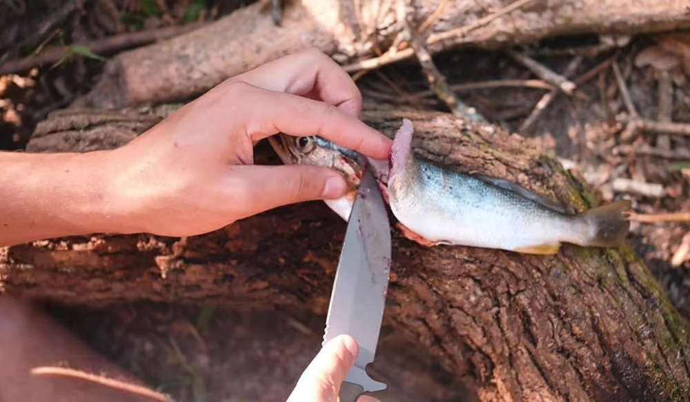 Как приготовить рыбу на природе на костре