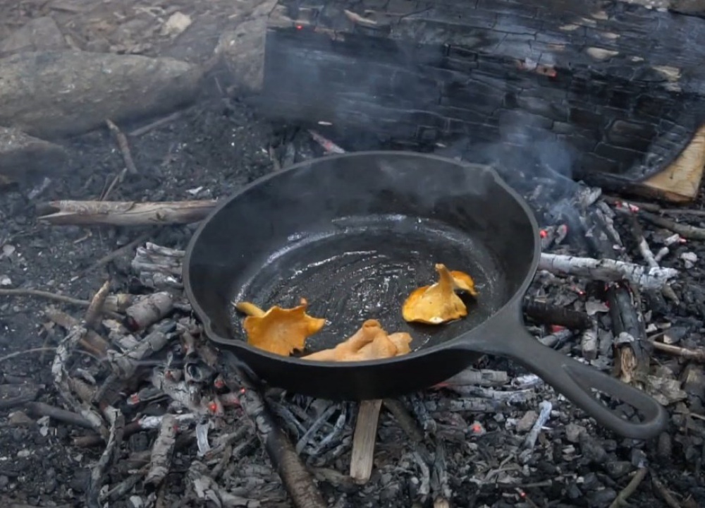 Грибы на костре: как вкусно приготовить