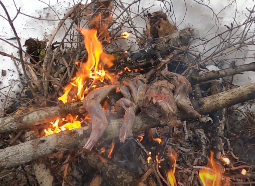 Кролик на костре: как приготовить в казане