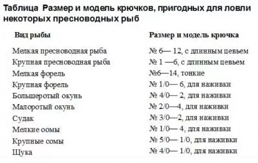 Рыбалка в походе