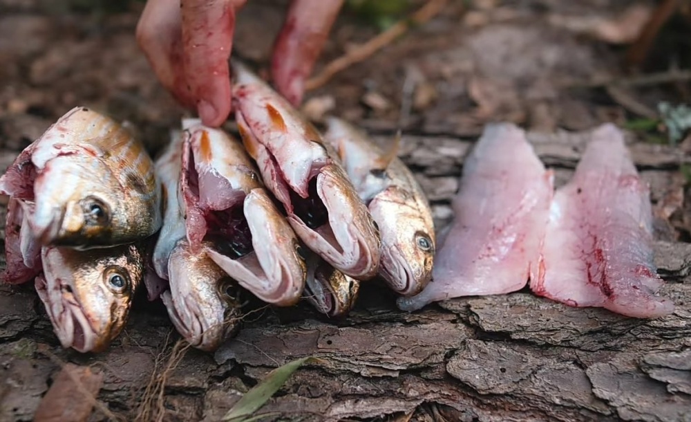 Как приготовить рыбу на природе на костре