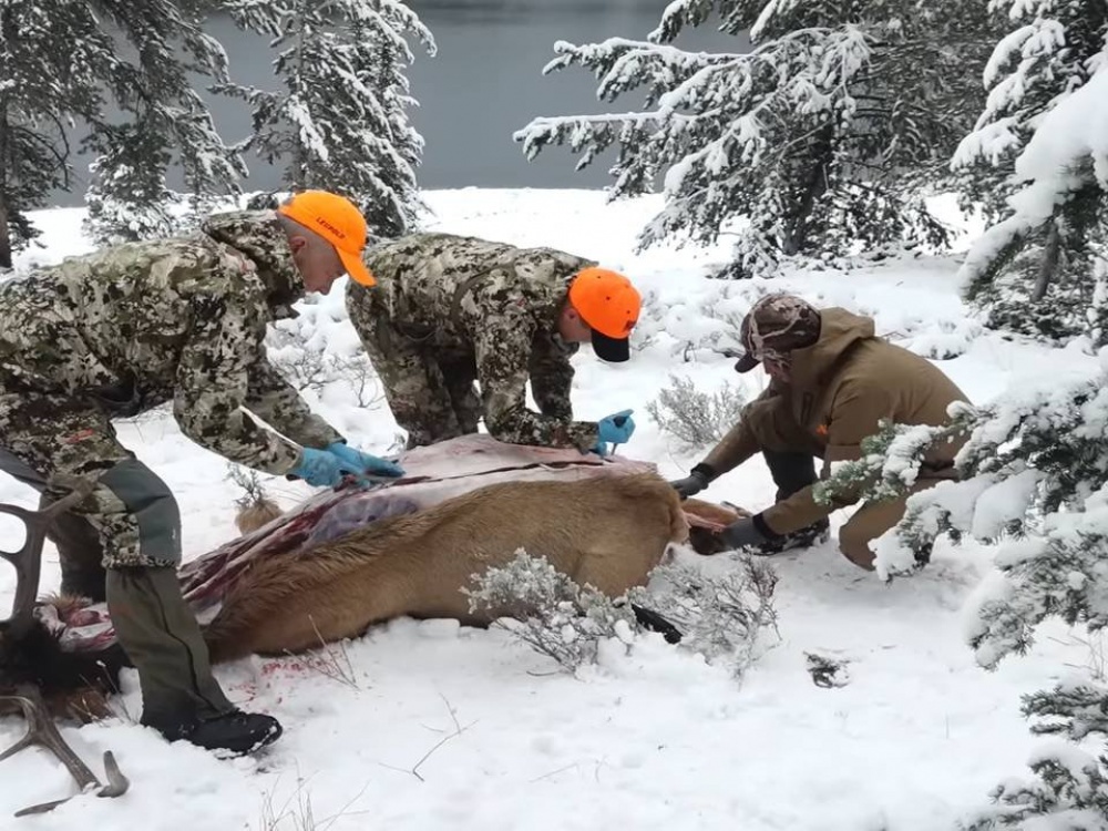 Как быстро разделать и освежевать лося