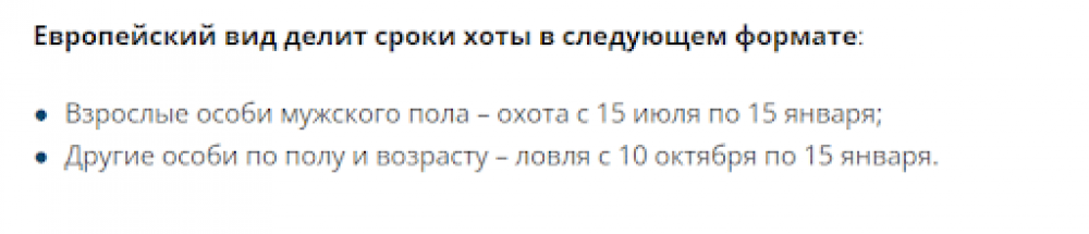 Способы охоты на сибирскую косулю