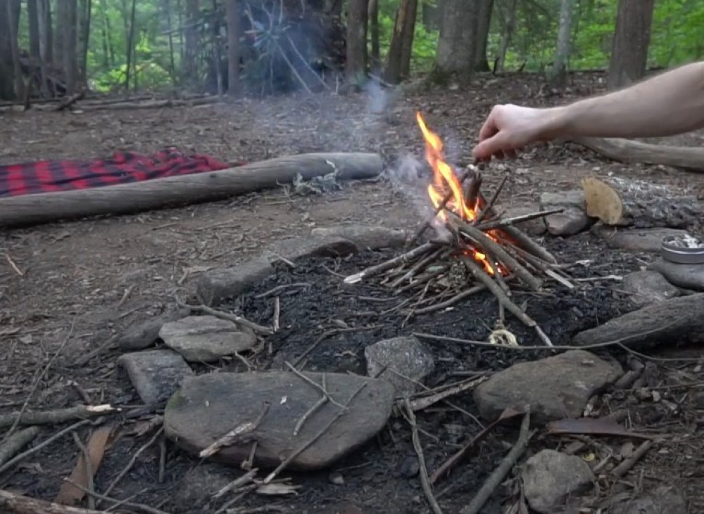 Грибы на костре: как вкусно приготовить