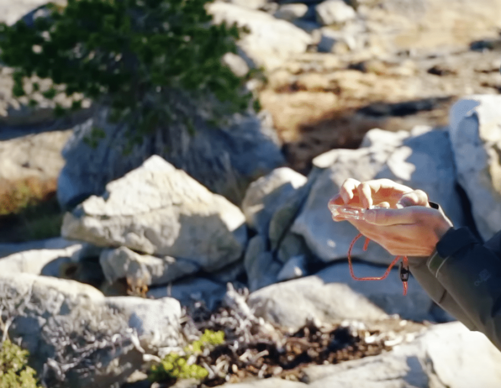 Виды компасов и их описание