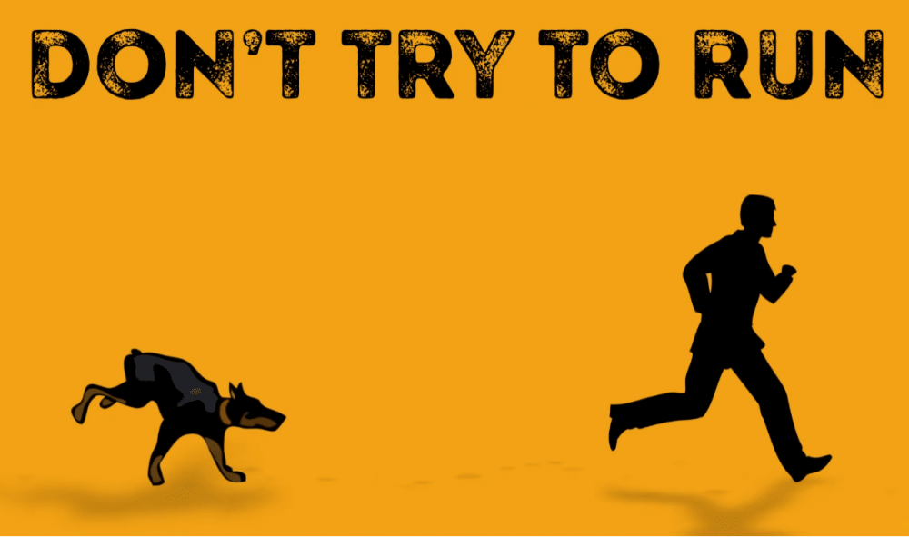 Что делать при нападении собаки