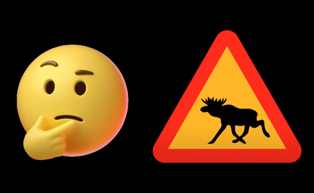 Что делать при встрече с лосем