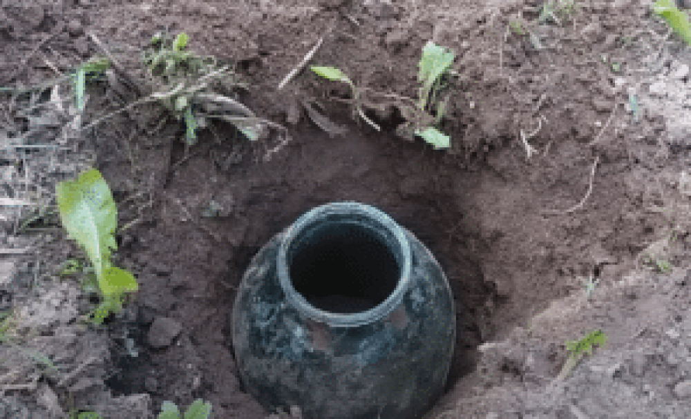 Ловушка для кротов