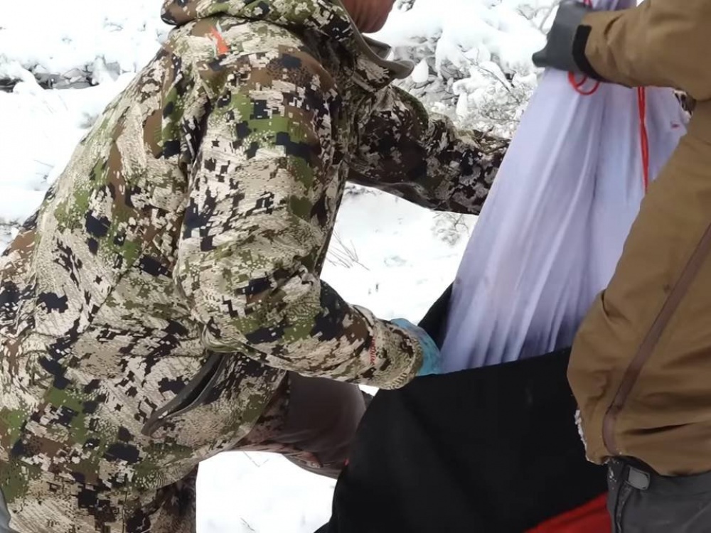 Как быстро разделать и освежевать лося