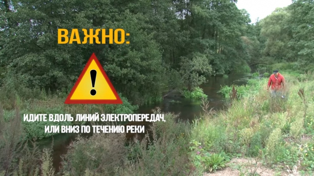 Если потерялся в лесу: что делать