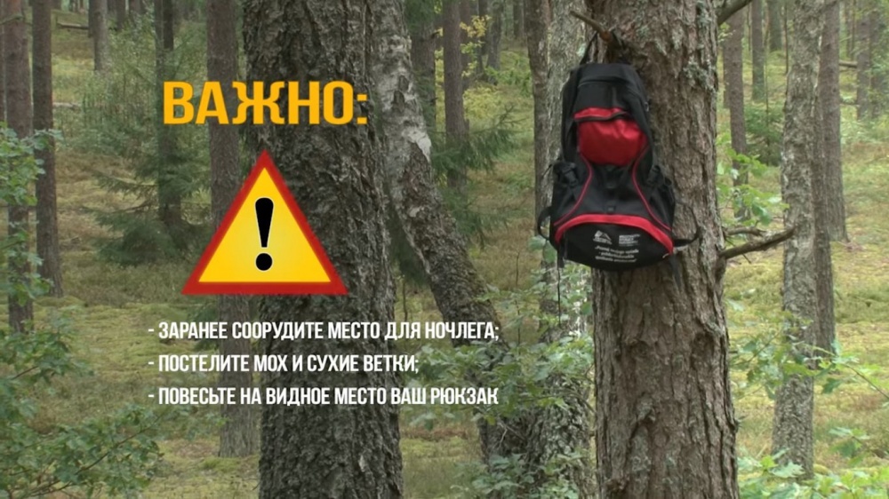 Если потерялся в лесу: что делать