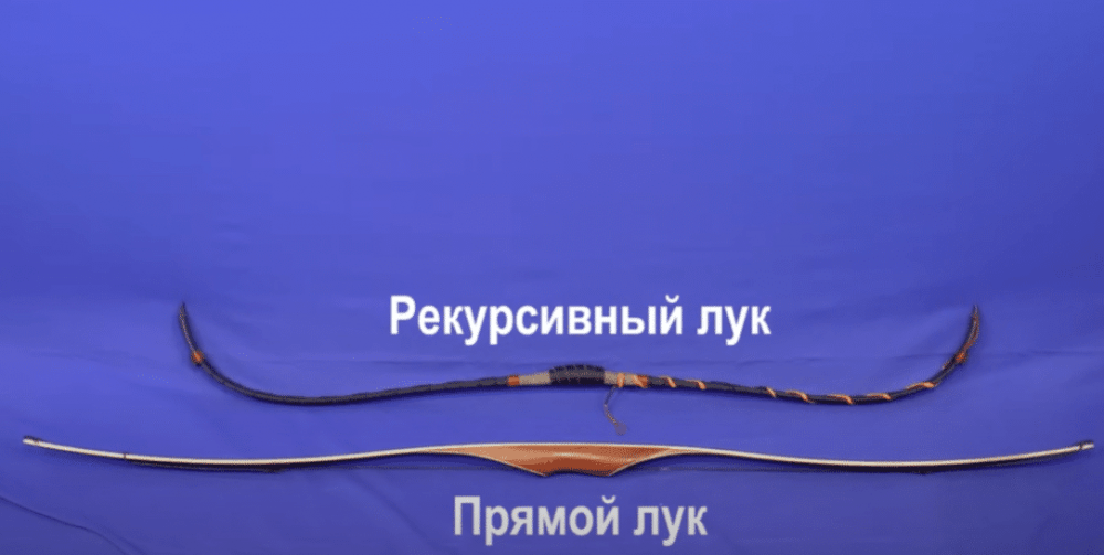 Как выбрать лук для охоты