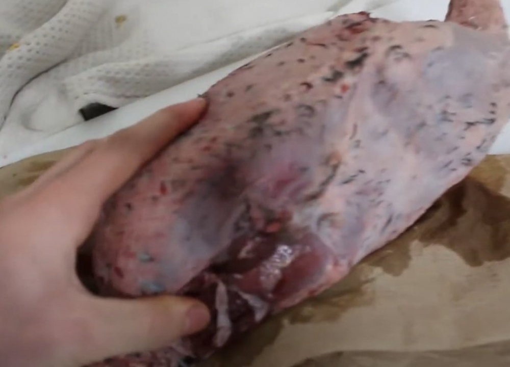 Гусь на костре: как приготовить правильно