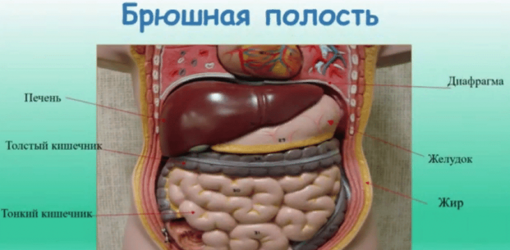 Как оказать первую помощь при травмах живота