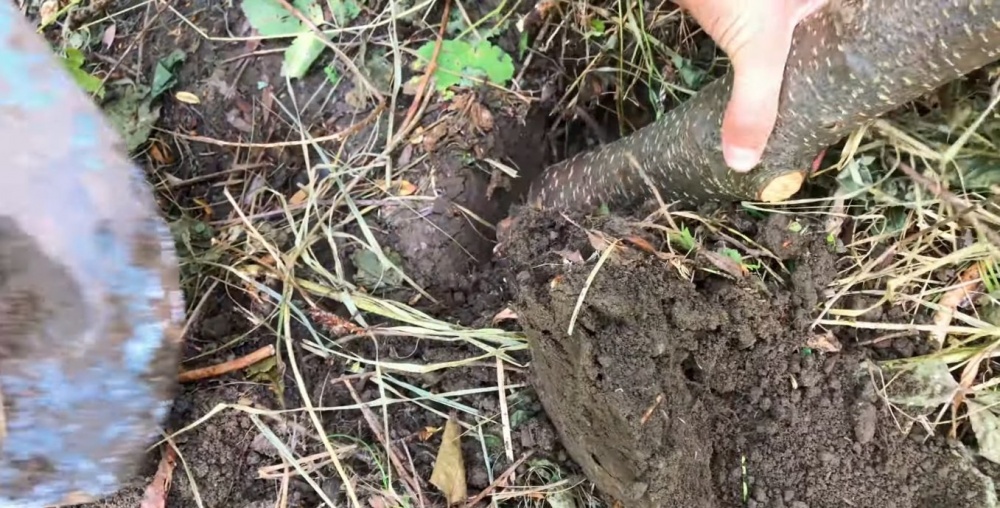 Как сделать шалаш