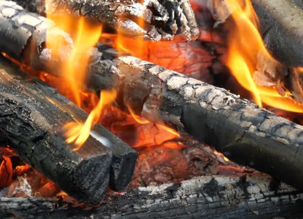 Куриные крылышки на костре: как вкусно приготовить