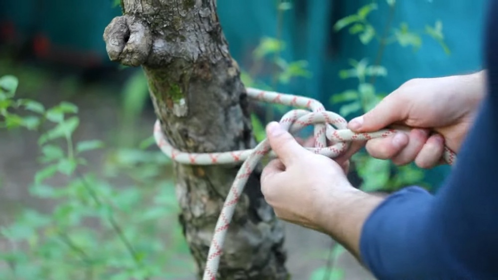 Беседочный узел Булинь