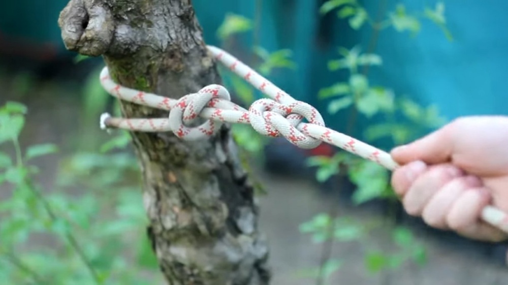 Беседочный узел Булинь