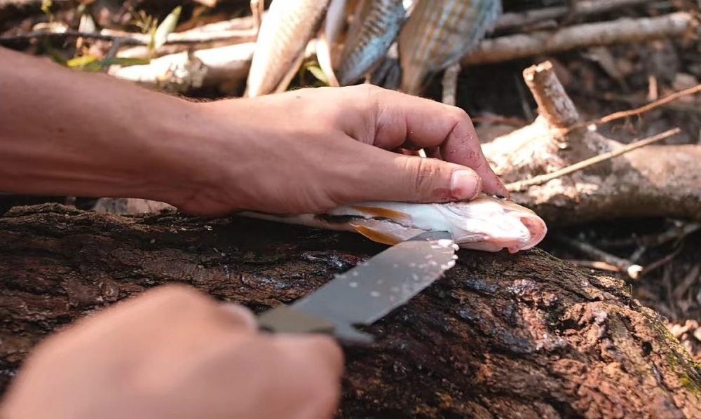 Как приготовить рыбу на природе на костре